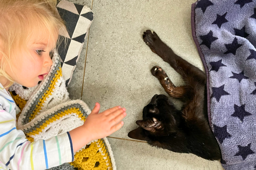 Talking to Kids About Pet Death: A Compassionate Guide from London’s Pet Care Experts