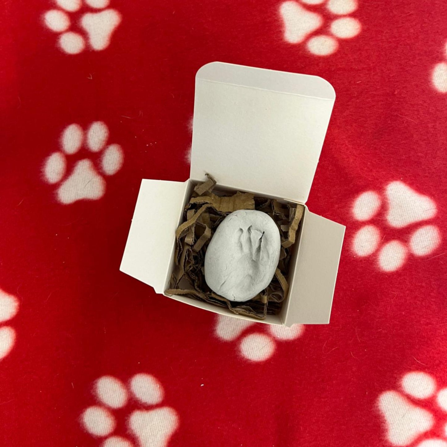 Clay Paw Print