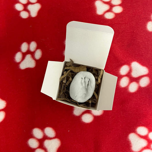 Clay Paw Print