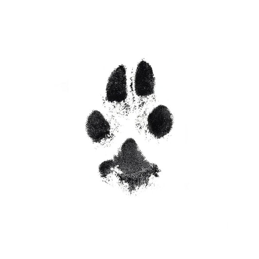 Paw Print