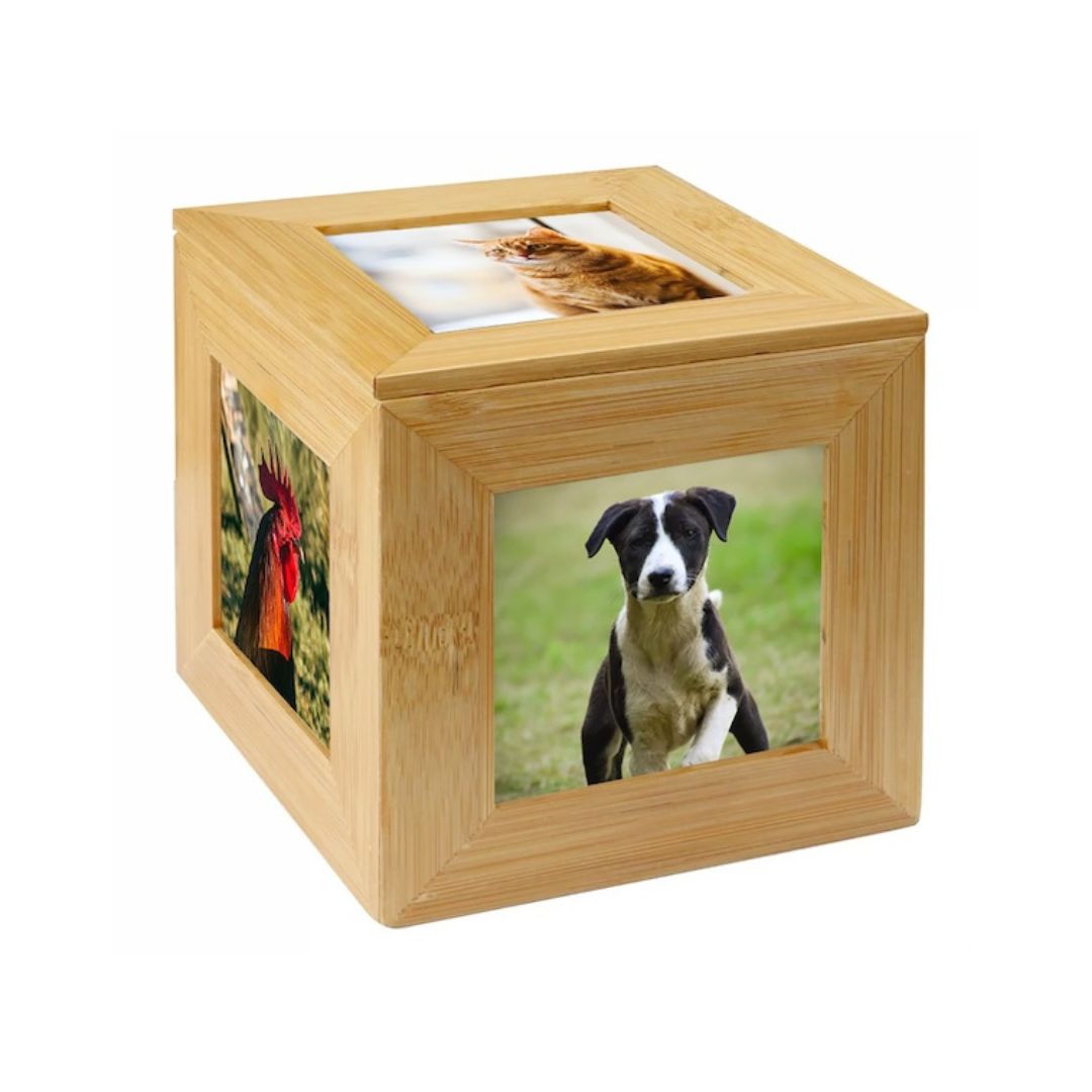 Box for ashes - Photo box in pine