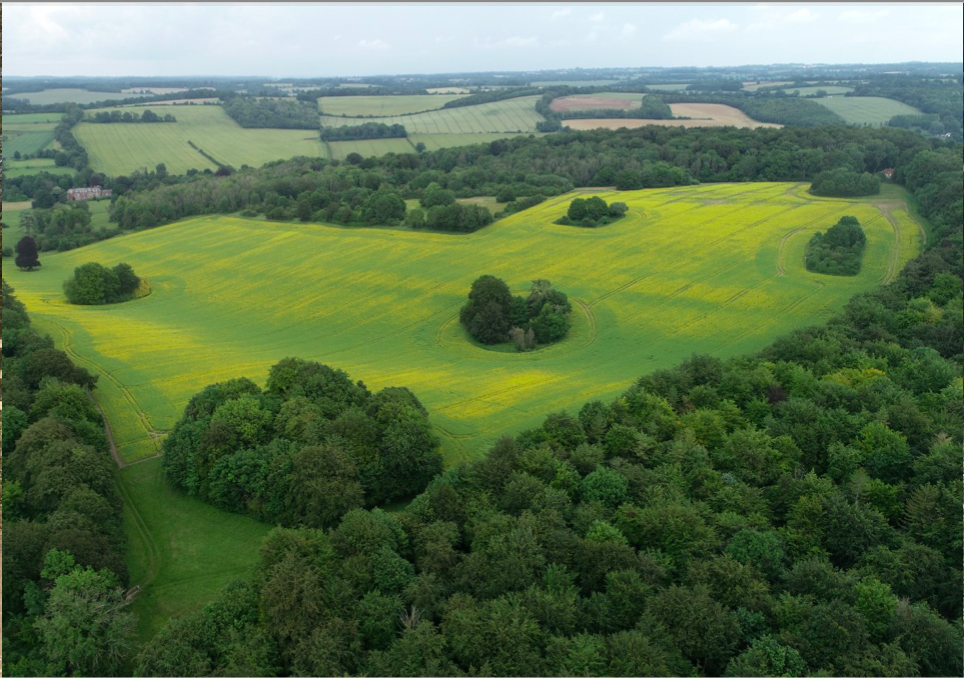 West Meon Single Plot for Ashes