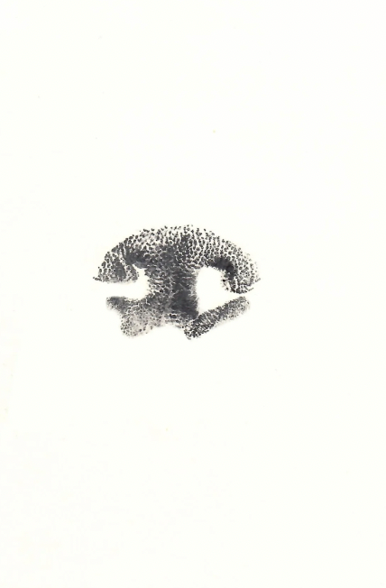 Nose Print