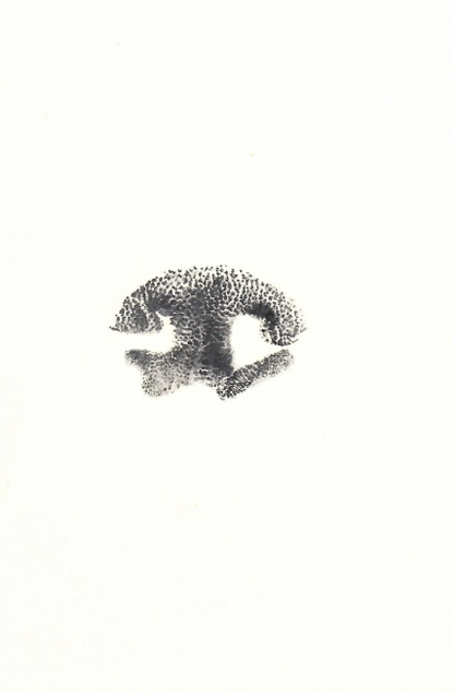 Nose Print