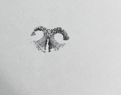 Nose Print
